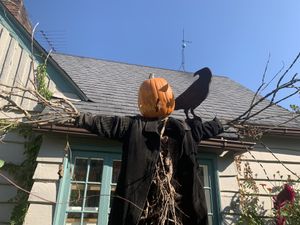 Great ambiance- especially during spooky season! 🎃🧙🍁  at Bird's Nest Cafe in Nashville