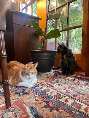  at Ravens' Restaurant in Mendocino