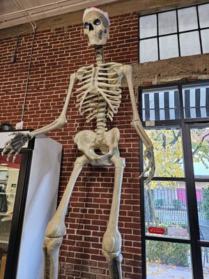 Tall Skeleton :D at Plant Slayer in Fresno