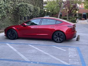 Even Comes With a Guard Cat in Parking Lot  at Plant Slayer in Fresno