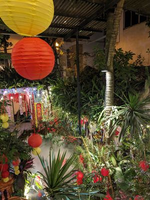  at Vi Lai - Maybe closed in Hanoi