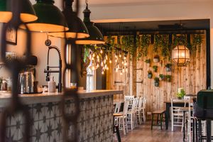 Interior 2 at Hypha in Chester