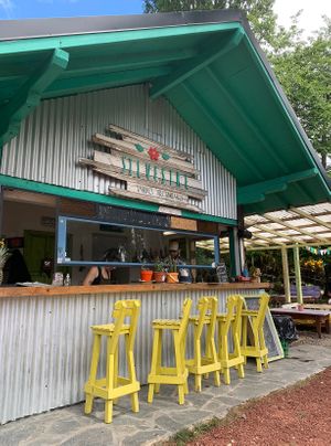 Beautiful outside area in Colonia Suiza 🇨🇭  at Silvestre in Colonia Suiza