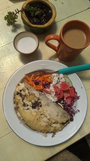 Vegan Quesadillas at Silvestre in Colonia Suiza