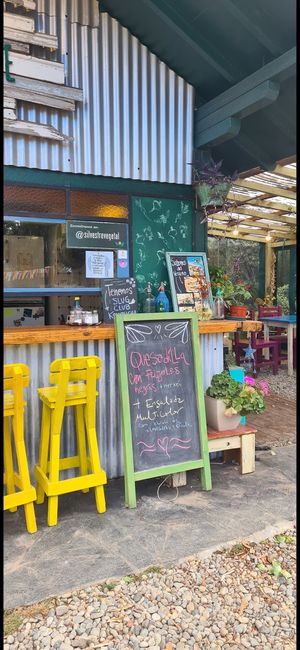 cute decor at Silvestre in Colonia Suiza