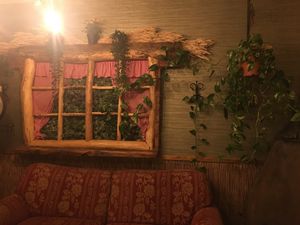 Clever  at Green Loft in Northampton