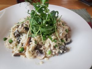 Mushroom risotto 🍄 at Green Loft in Northampton