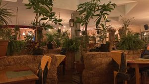   at Green Loft in Northampton