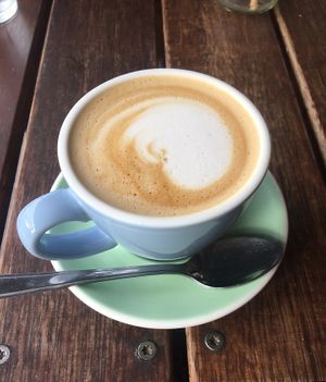 Oat milk flat white   at The Mossy in Mossy Point