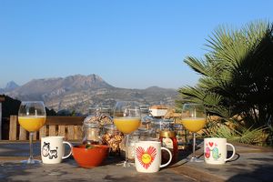 Vegan breakfast at Casa Tarsan Vegan Eco Lodge in Villalonga