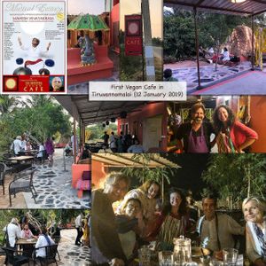 Musical at Da Mantra Vegan Cafe at Da Mantra Cafe in Tiruvannamalai