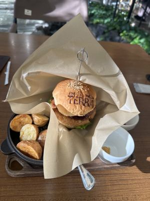 Vegan Burger (soy-meat patty)  at Terra in Sapporo