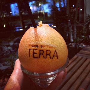 Grapefruit juice at Terra in Sapporo