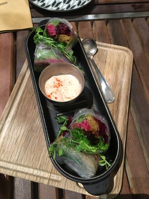 Fresh spring roll with mixed vegetables at Terra in Sapporo