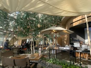 Inside at Terra in Sapporo