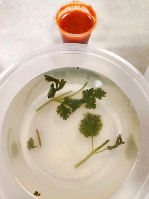 Chicken rice comes with soup and chilli, the chilli is nice at D'Life Signature 蔬品軒 - Novena in Central Singapore