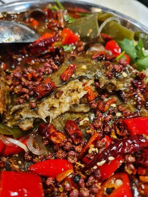 Mala Grilled Hooish ~ 26/12/22 at D'Life Signature 蔬品軒 - Novena in Central Singapore