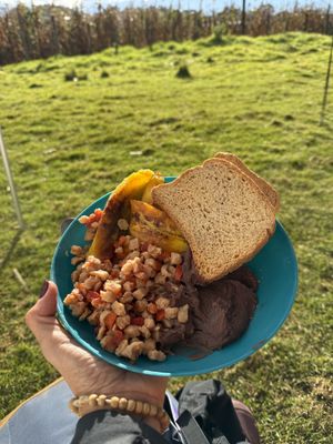   at Vegan Adventure Holidays in Antigua