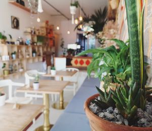 Our little space  at Passiflora in Seaton