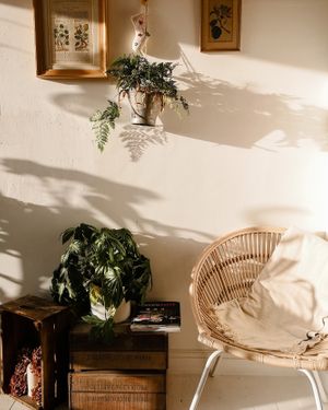 Calm afternoons listening to Joni Mitchell and drinking coffee  at Passiflora in Seaton