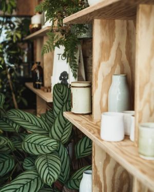 ceramics at Passiflora in Seaton