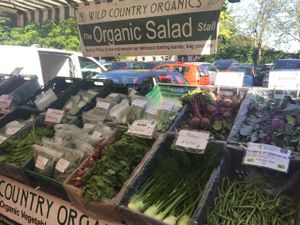 Organic vegetables at Farmers Market - Twickenham in South West London