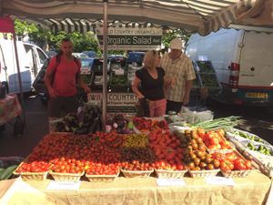 More veggies at Farmers Market - Twickenham in South West London