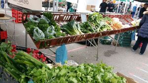 Veggies at Farmers Market - Wimbledon Park in South West London