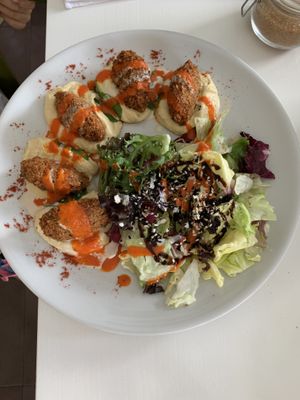 Falafel Hummus  at Vegessence in Belgrade