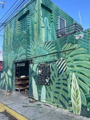   at La Casa de las Mayoras in Cancun