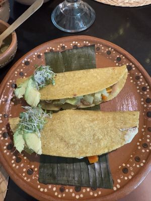  #Veganuary at La Casa de las Mayoras in Cancun