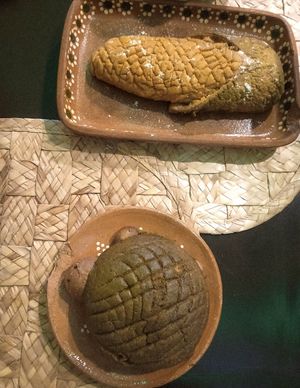  at La Casa de las Mayoras in Cancun