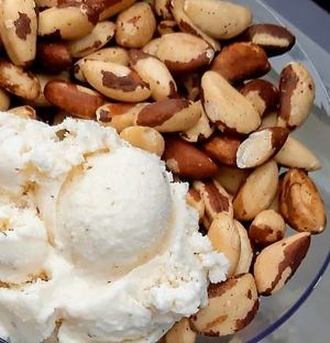Sorvete de Castanha, sem corantes, emulsificante ou saborizantes at Sorveteria Sabor da Cor in Sao Paulo