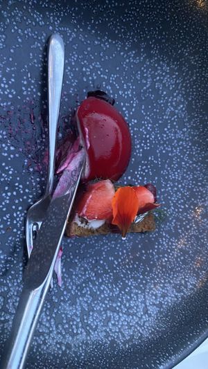   at Kop van 't Land in Dordrecht