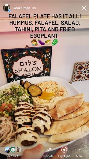 Falafel plate  at Falafel Sababa in Osaka