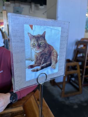 The table numbers have different cats with facts on the back. 😻  at Biscuit Head in Greenville