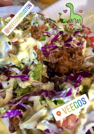 Loaded nachos with everything they had lol 😂  at Veegos in Houston