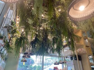   at Tonklar Facai - Chula in Bangkok