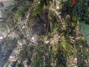 Hanging plants in the dining room at Tonklar Facai - Chula in Bangkok