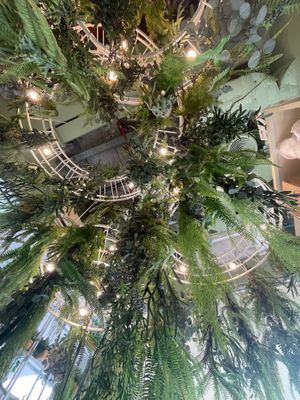 Nice place 🌿 at Tonklar Facai - Chula in Bangkok