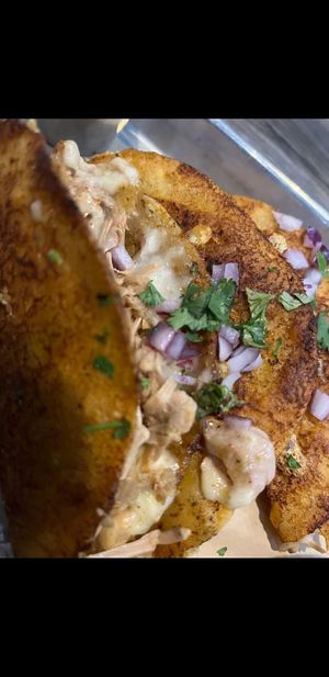  at Collision Brewing Company and Restaurant in Longmont