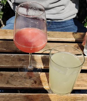 fresh grapefruit juice and ingwer lemonade at Veganika in Ljubljana
