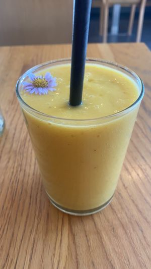   at Veganika in Ljubljana