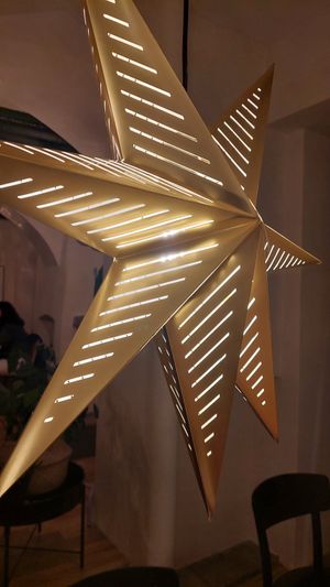  at Veganika in Ljubljana