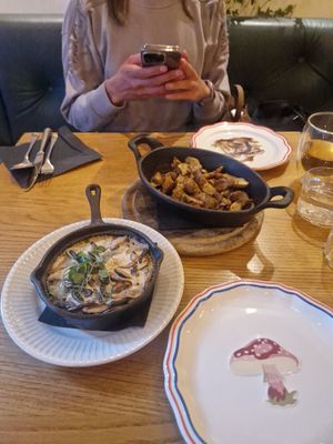 Overview at Veganika in Ljubljana