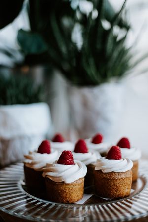 Cupcakes at Veganika in Ljubljana