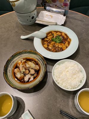 Sichuan wontons and mapo tofu.  at Pure Veggie House 心齋 - Xīn Zhāi in Taipei