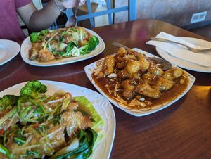 Duck (x2) and sesame chicken at Garden Fresh in Mountain View