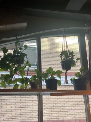 Plants #Veganuary at Stereo in Glasgow