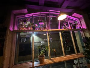 window  at Stereo in Glasgow